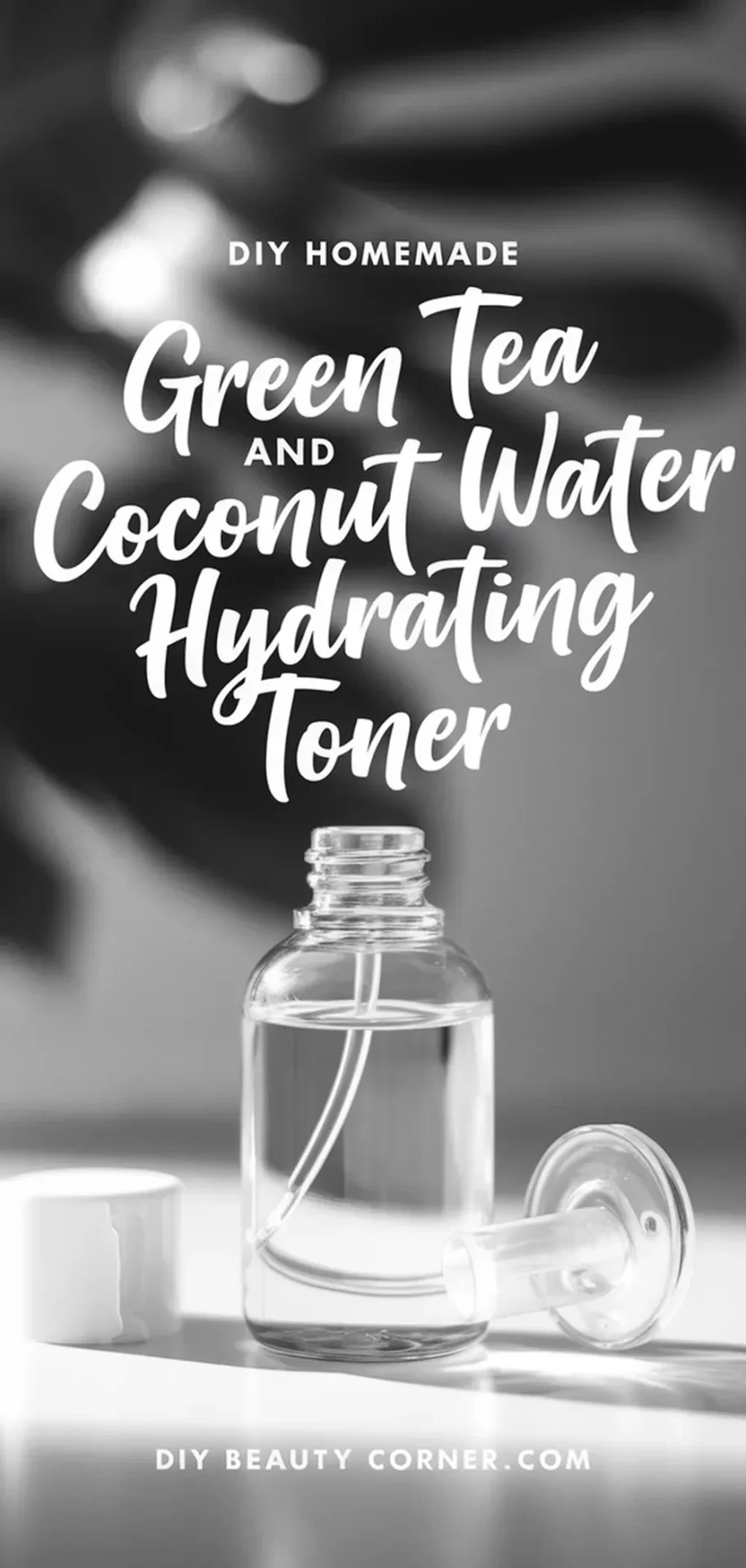 Make This Simple Green Tea And Coconut Water Hydrating Toner at Home for Glowing Skin