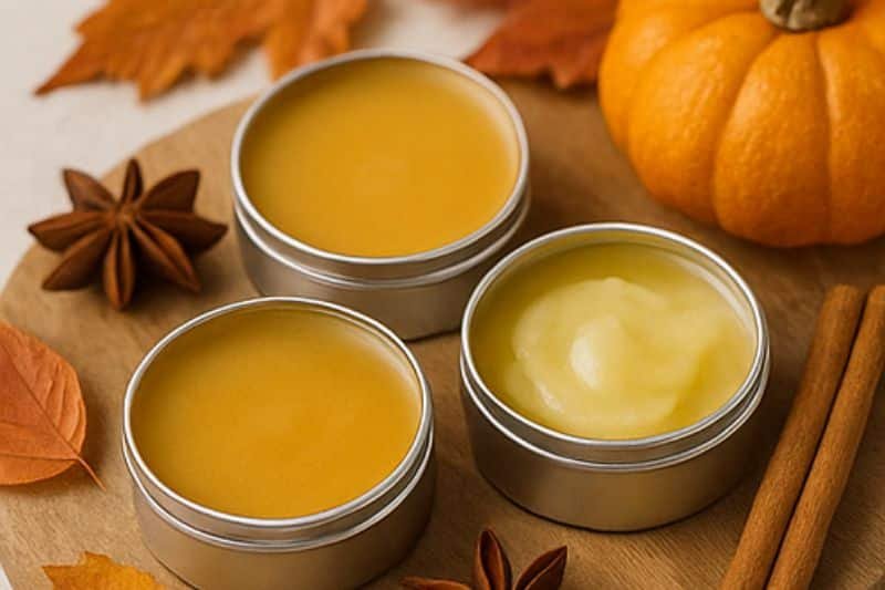 DIY Pumpkin Spice Lip Balm in jars with pumpkin spice and cinnamon sticks