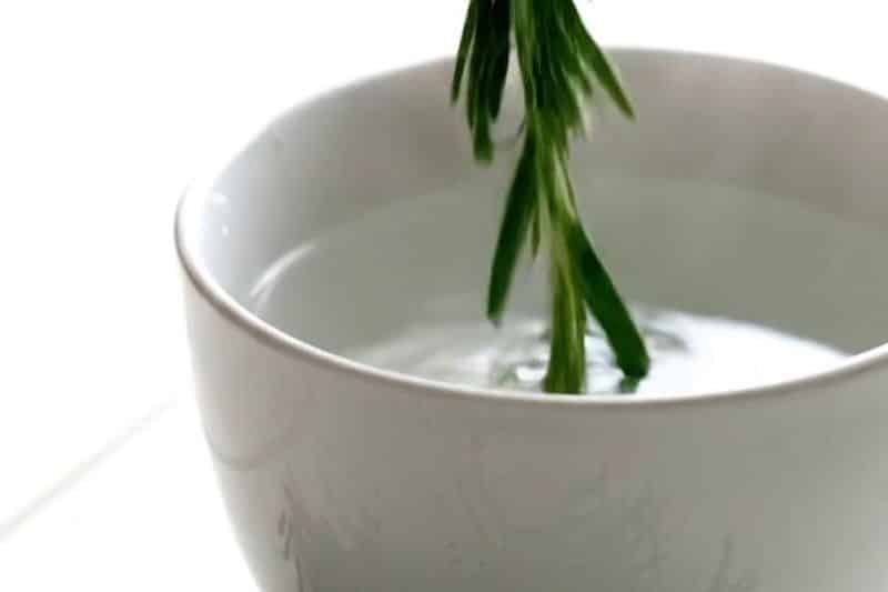 Rosemary water hair rinse ingredients including fresh rosemary and distilled water